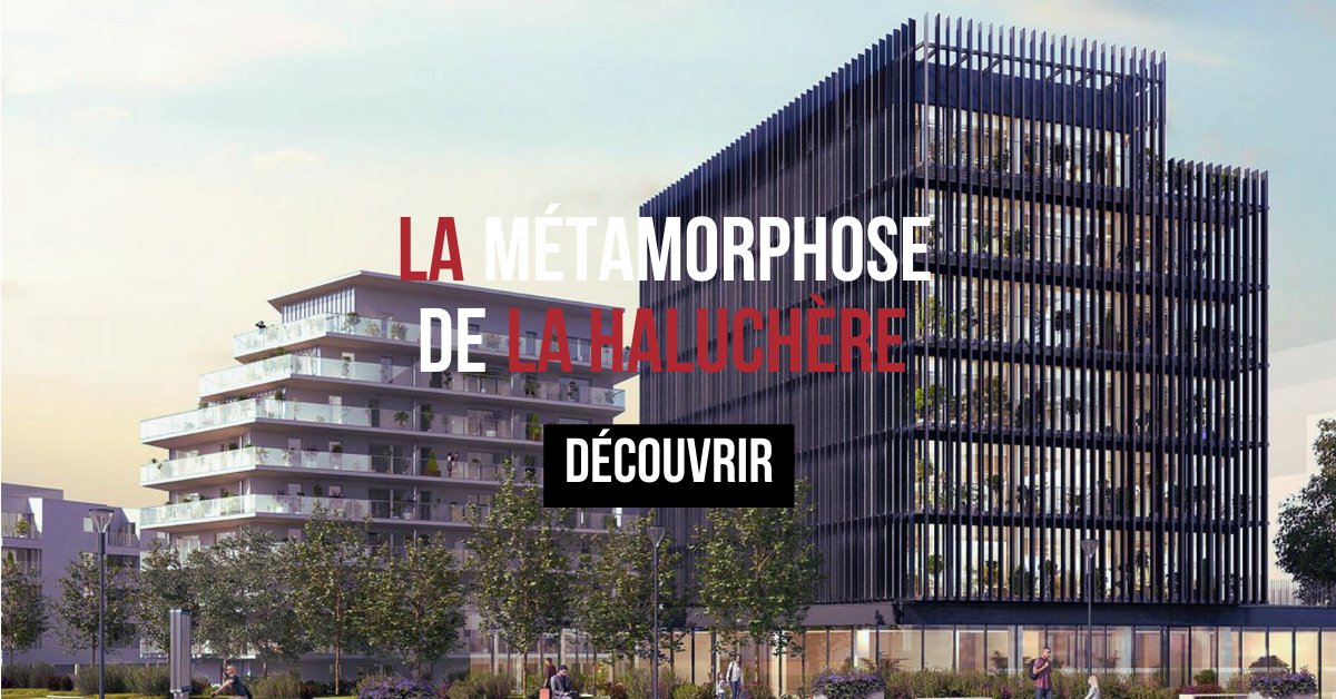 La métamorphose haluchère nantes Article Métamorphose Haluchère